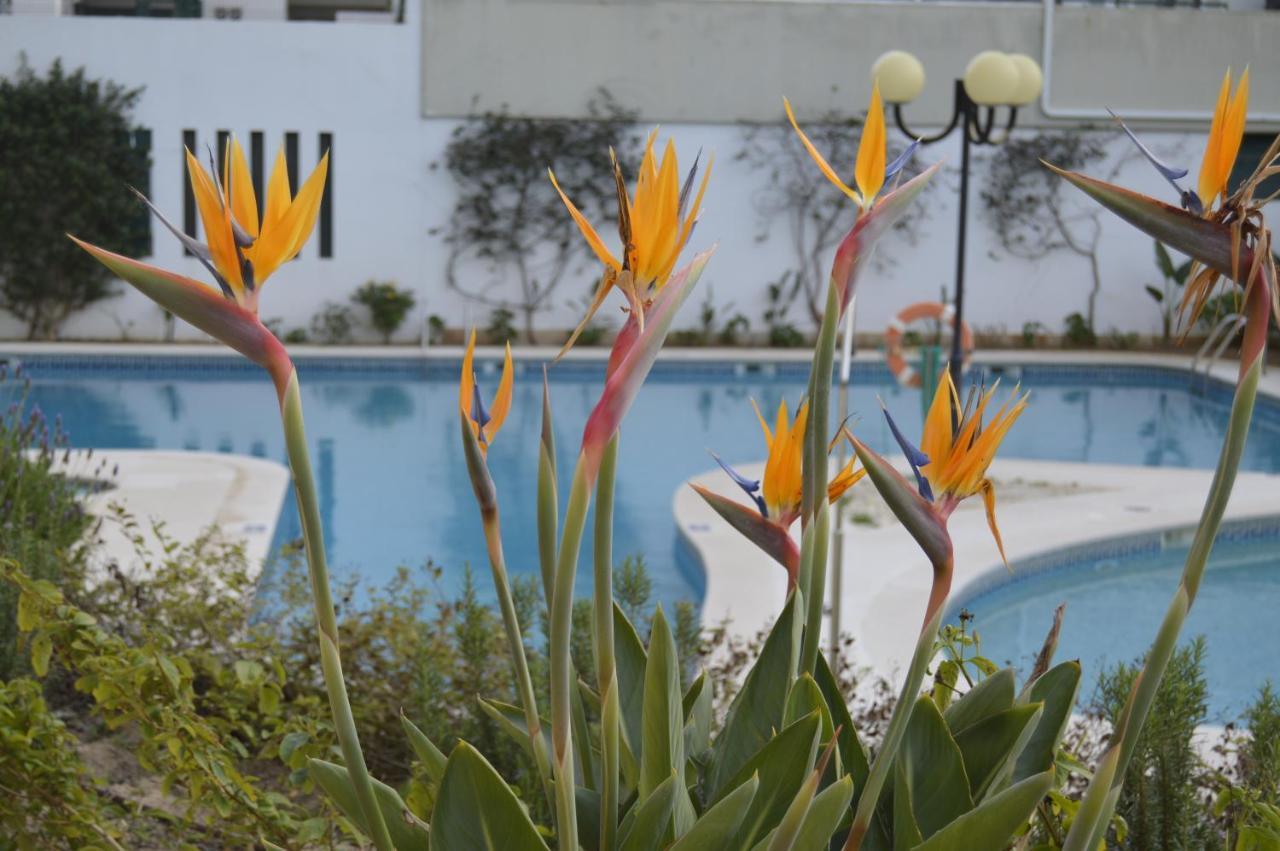 Apartamento Proximo Da Marina Vilamoura C/Piscina E Estacionamento 外观 照片